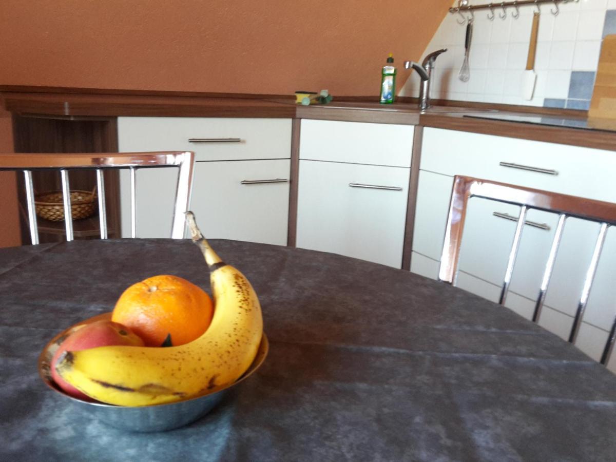 Ferienwohnung Dresden West Екстериор снимка